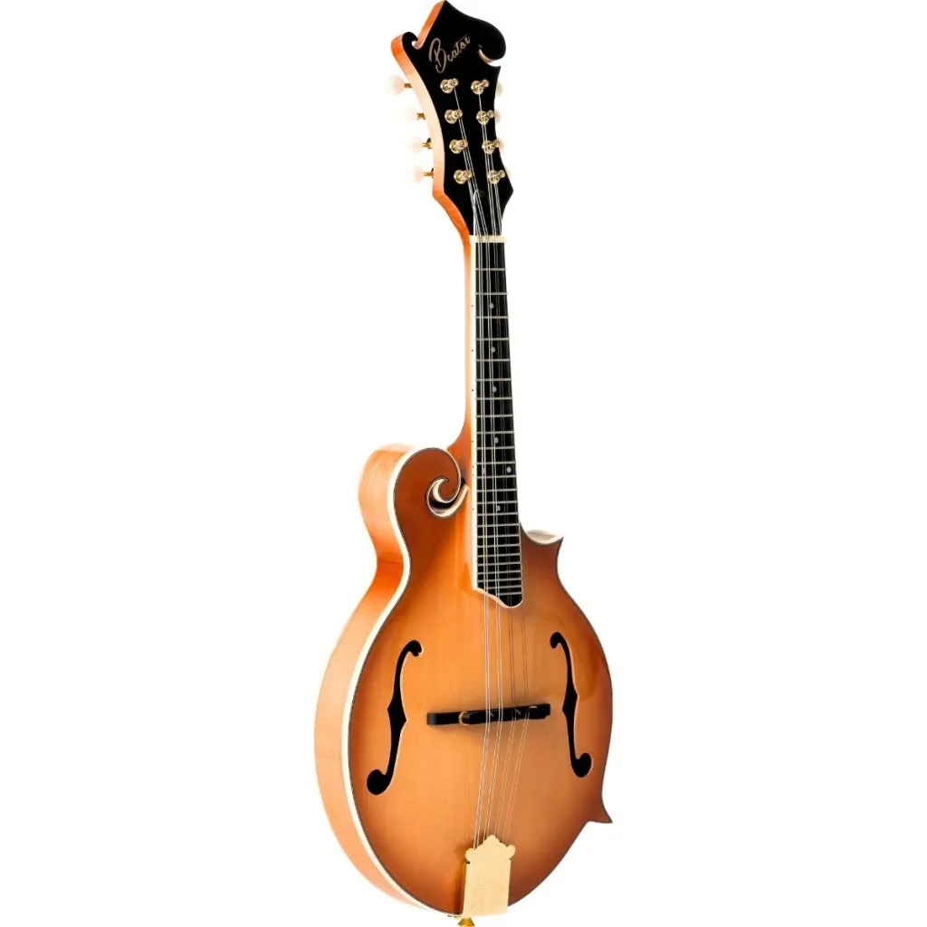 Beaton-Icon-F8-NA-mandolin-nature-www.guitaristen.dk